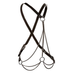 SIGNATURE TWILIGHT TEASE COLLAR & LEASH