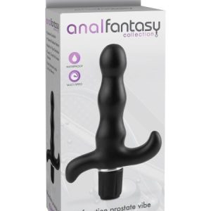 ANAL FANTASY PROSTATE VIBE 9 FUNCTION