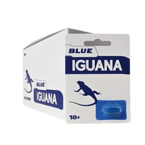 BLUE IGUANA 30PC DISPLAY (NET)