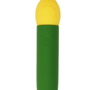 PINA SILICONE MINI VIBE